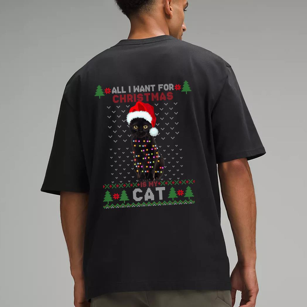 Funny Cat lovers Cute Cat Santa Hat Ugly Christmas Sweater Premium Men T-Shirt